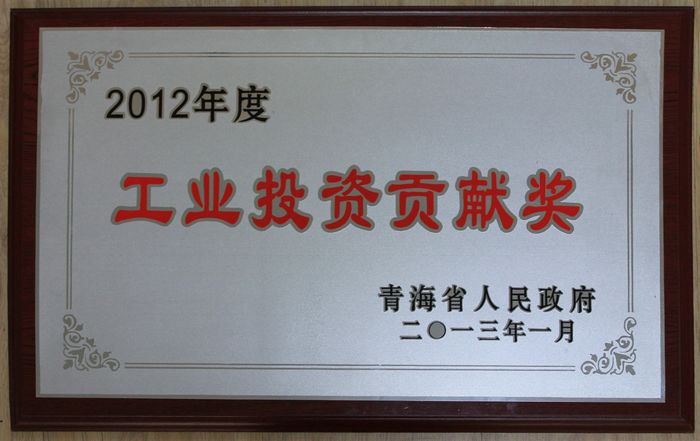 集團榮獲2012年度青海省人民政府&ldquo;工業(yè)投資貢獻獎&rdquo;